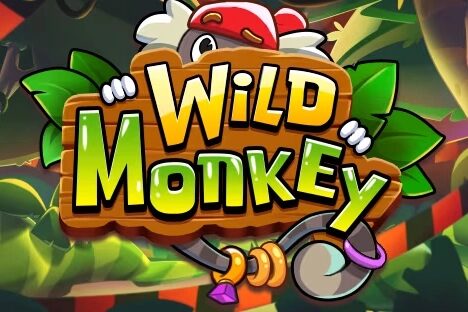 Wild Monkey
